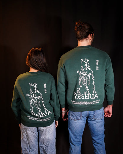 Kingdom come, Christian Sweatshirt/crewneck inspired by jesus, John 15:5, green on boy/girl model, back